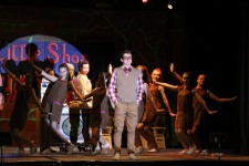 Little Shop of Horrors 222